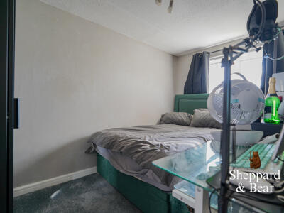 Picture 12